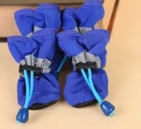 Pawsome Rain boots