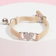 Kitty or Pooch Collar
