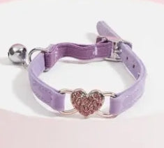 Kitty or Pooch Collar