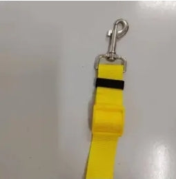 Pawsomely Purrfect Leash in Color