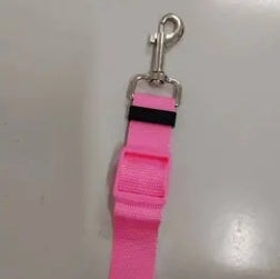 Pawsomely Purrfect Leash in Color