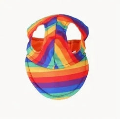 Keep Me Colorful and Cool Rainbow Hat