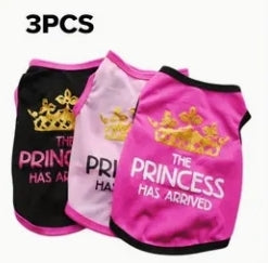 Pawsomely Purrfect Princess Poochie Set
