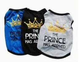 Pawsomely Purrfect Prince Pouch Set